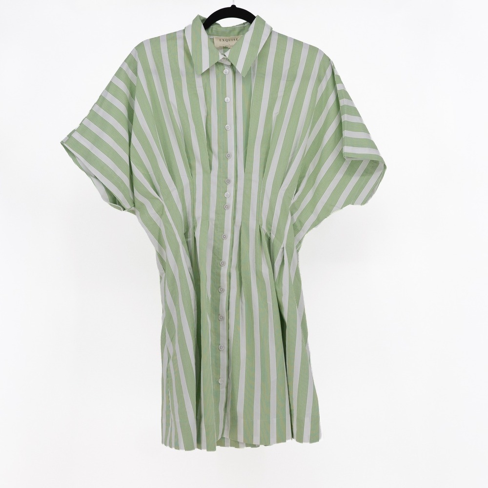 NEW Exquise The Tobie Cotton Poplin Button Front Mini Shirt Dress Green Stripe L